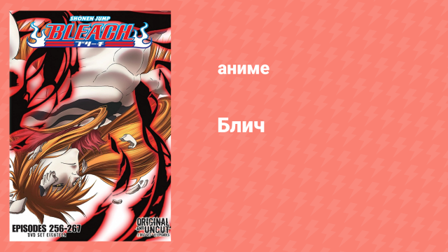 Блич: Дзанпакто: Альтернативная сказка 256 серия (аниме-сериал, 2004)