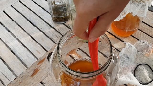 КАК ВЫРАСТИТЬ ЧАЙНЫЙ ГРИБ С НУЛЯ/ Kombucha/Первые шаги