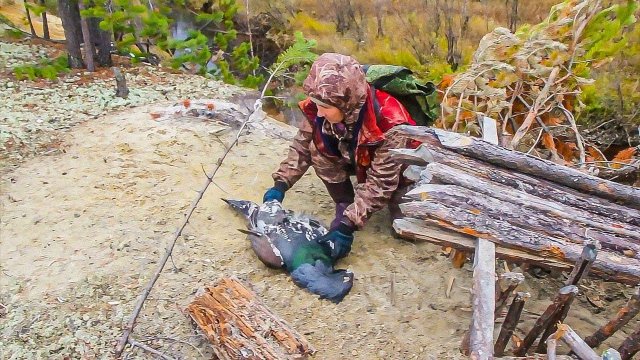 С полем! Лучшие охотничьи выпуски: Охота на глухаря, зайца и лося на Ямале | Выжить в лесу на севере