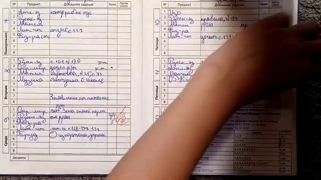 обзор на мой ШКОЛЬНЫЙ дневник. ?