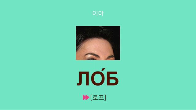 얼굴 [러시아어 어휘와 표현]