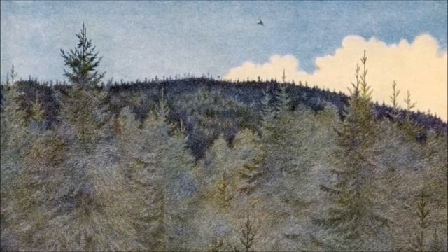 Burzum Ambient