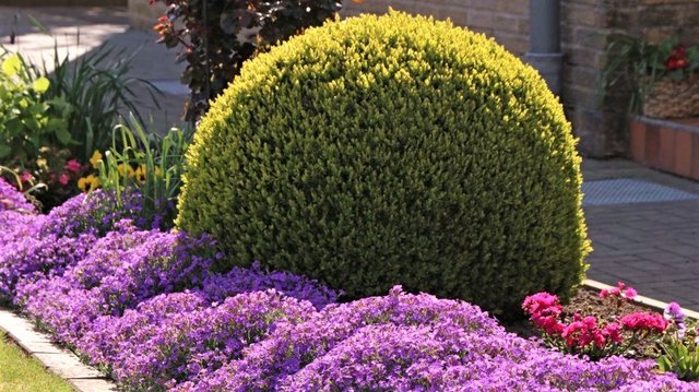 ?Отличные идеи для создания уюта и комфорта на садовом участке / Great garden ideas / A - Video