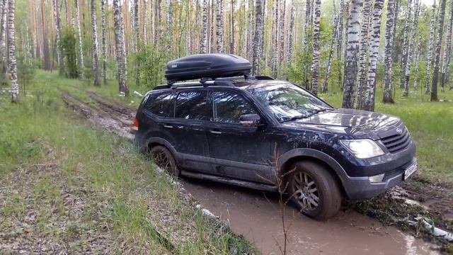 Мохаве в грязи