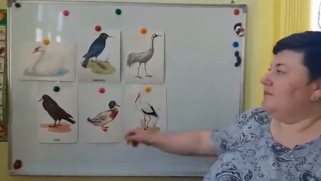 Занятие по окружающему миру для второй младшей группы