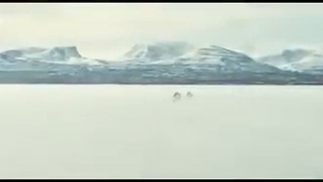 Вавилон Н. Э.