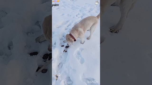 Тропы заповедные