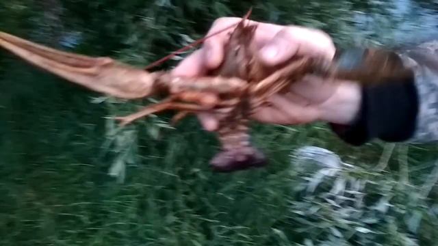 Как поймать рака руками с берега.Секретный способ ловли раков.Лучший способ поймать раков.