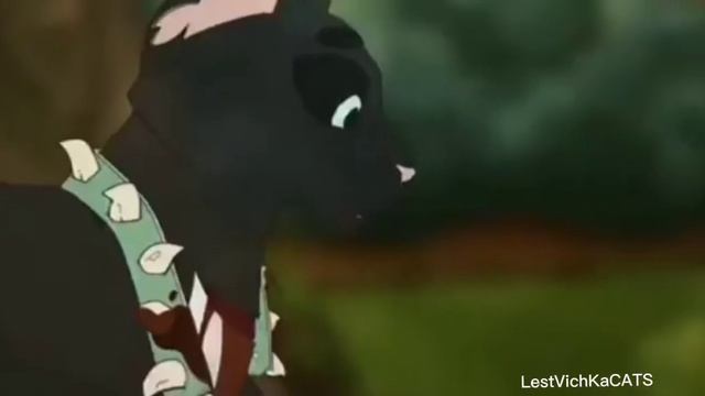 Коты воители - Клип Восстань - Бич