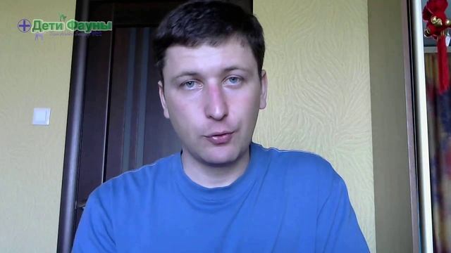 Витамины для собак - как правильно применять