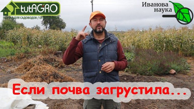 ДАЙТЕ ПОЧВЕ ОТДЫХ, ИСПОЛЬЗУЙТЕ ЭТИ РАСТЕНИЯ. Сделайте почву снова живой и счастливой!