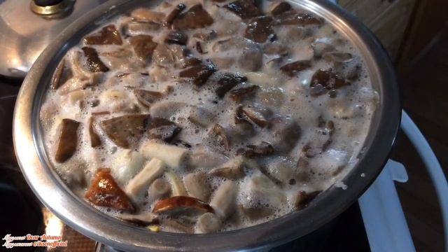 Лесные грибы Как варить Лесные Грибы Лесные Ягоды 2019