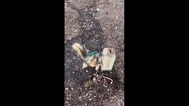 ПОМОЩЬ БЛИЗКИМ