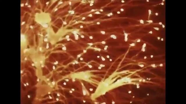 ГОЛУБОЙ ОГОНЁК 1969г.