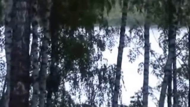 ИЛЬХАМ ШАКИРОВ - СИН САЗЫННЫ УЙНАДЫН