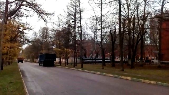 Москва 1216 Лиственничная аллея (территория Тимирязевской с/х академии) осень день
