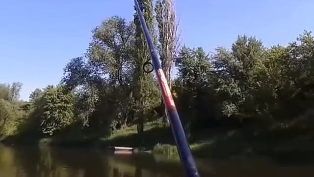 Бомбарда. Монтаж и ловля на мушку.