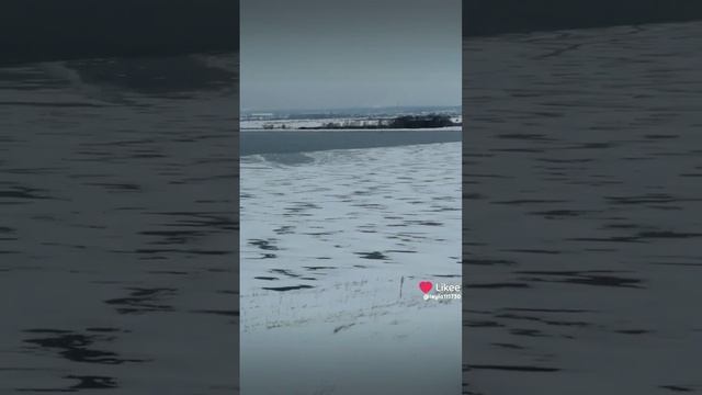 Like_7328469740571139907.mp4