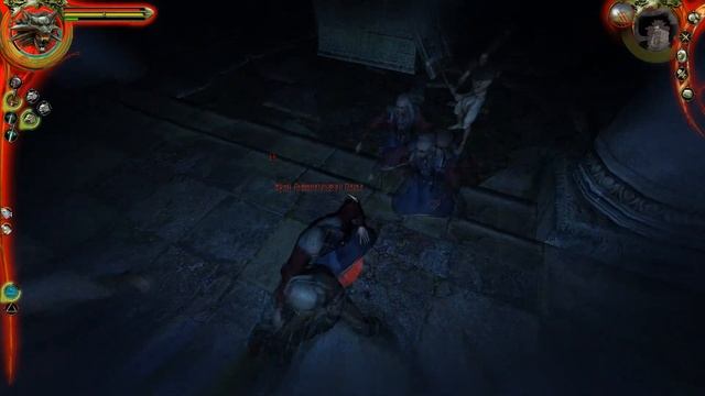 Прохождение The Witcher (Ведьмак) Высокая сложность ► Логово Львиноголового паука ► #23