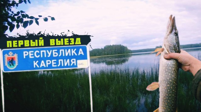 Карелия нас встретила отлично. Поклёвка за поклёвкой. Щука за щукой.