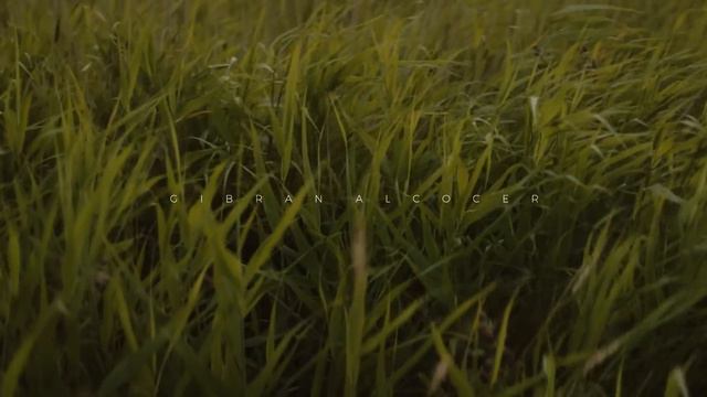 Best of Gibran Alcocer (Beautiful Piano Mix)