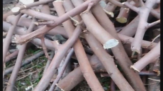 Измельчитель веток из фуганка + циркулярка.