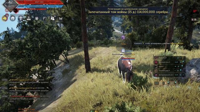 Как поймать лошадь в Black Desert