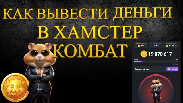 Как вывести деньги в Хамстер Комбат