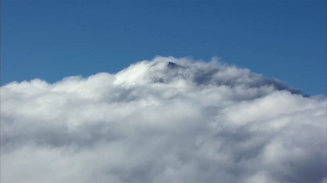 THE ART OF FLIGHT - PASSION