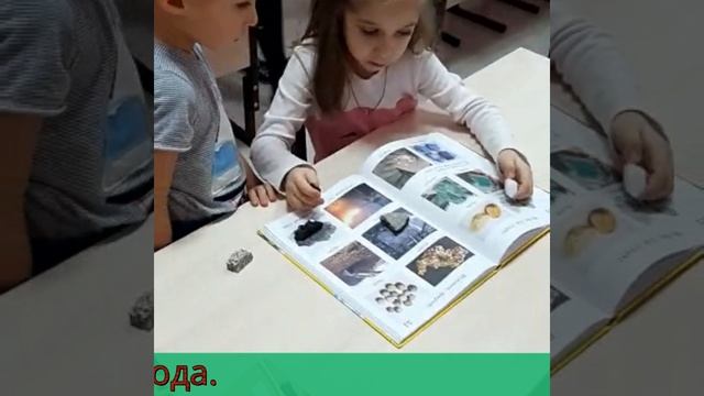 Окружающий мир.mp4