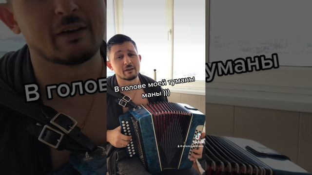 В голове моей туманы, под гармонь