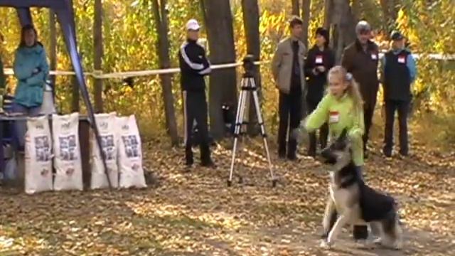 Король Ринга. 3 место - ВЕО Хард