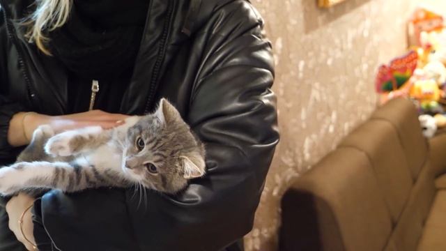 VLOG Кто-то украл Умку. Алиса упала с лестницы