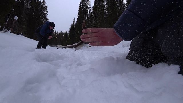 Рыбалка для души. Хариус на удочку. Часть 2