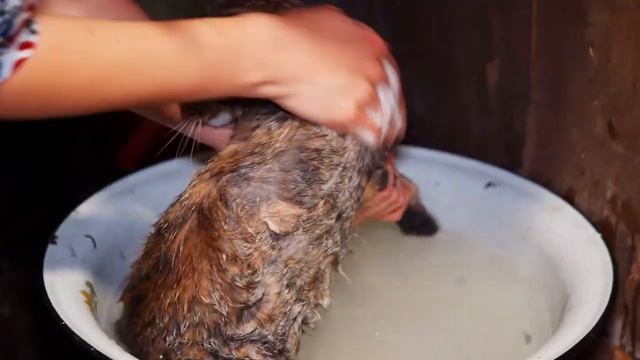 МОЛОДАЯ СЕМЬЯ СТРОИТ ДОМ СВОЕЙ МЕЧТЫ В ДЕРЕВНЕ