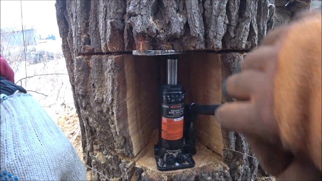 Валка дерева при помощи домкрата