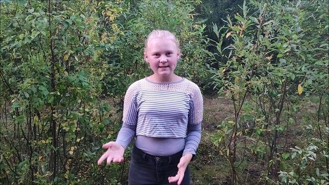 Дякун Елизавета "Финансовый совет"
