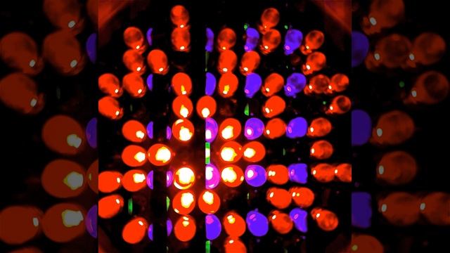 Ната ли Северр - Без тебя нельзя