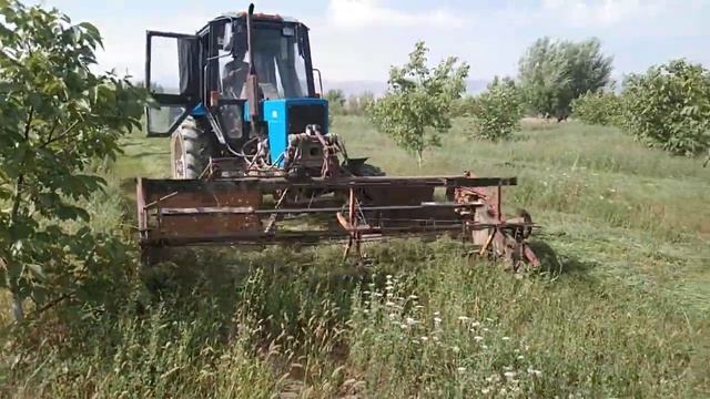 4 августа 2021 г.