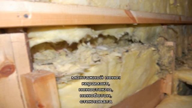 Грызут ли мыши монтажную пену?