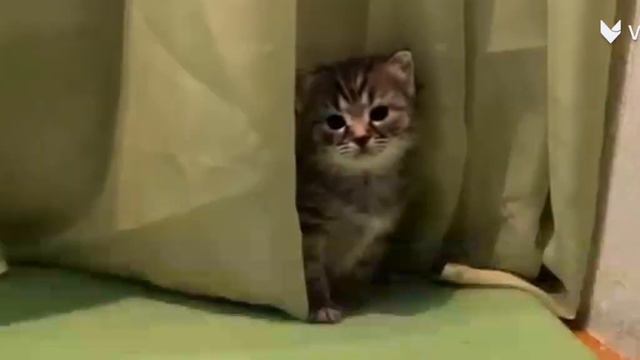 Эдит Эни А ну ка давай ка