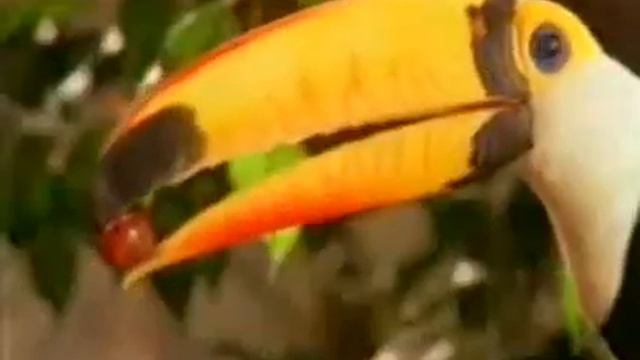 КРАХ ТЕОРИИ ЭВОЛЮЦИИ