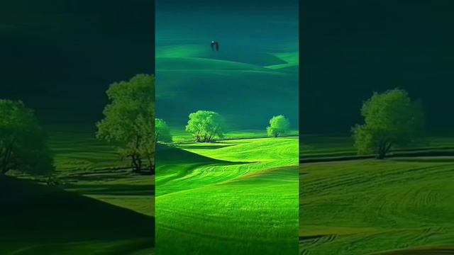 beautiful ? nature