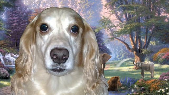 Дружба начинается с улыбки