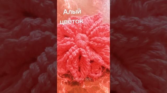 Алый цветок