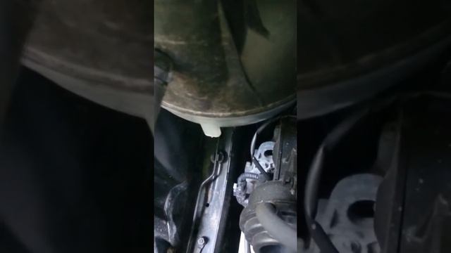 Генератор w245