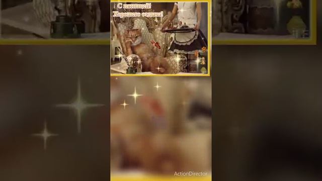video_6287847656154.mp4
