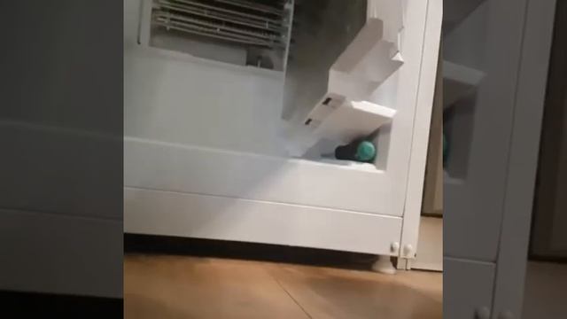 Холодильник Позис RK FNF-172.Не морозит.Замена таймера.