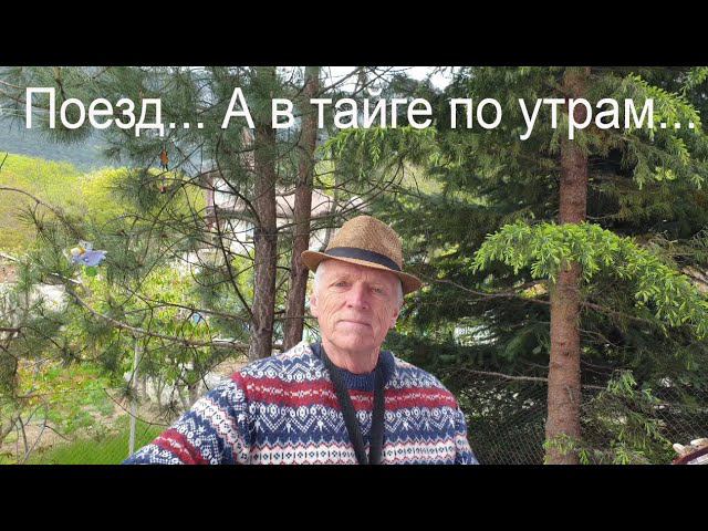 "Поезд". ("А в тайге по утрам туман...") Песня Юрия Кукина