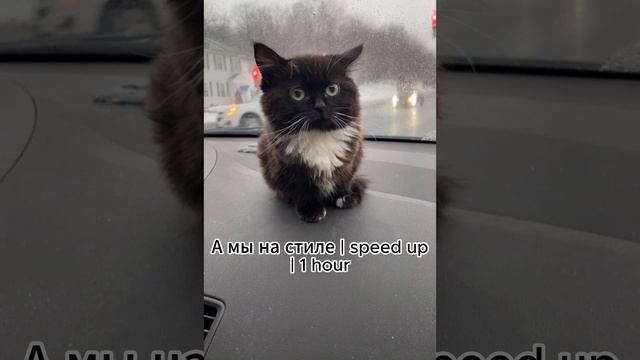 А мы на стиле | speed up | 1 hour